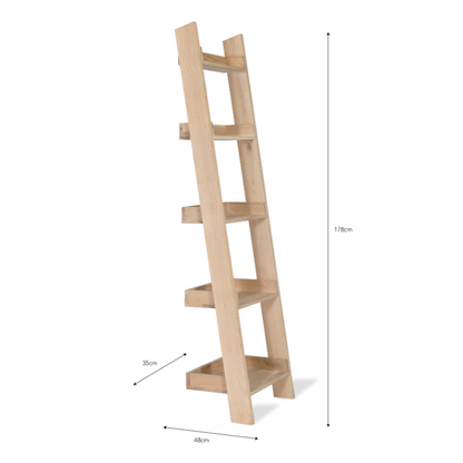 Hambledon Office Shelf Ladder